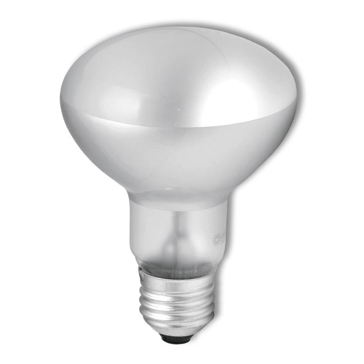 ECO-ALOGENA R63 53W E27 LIGHTX