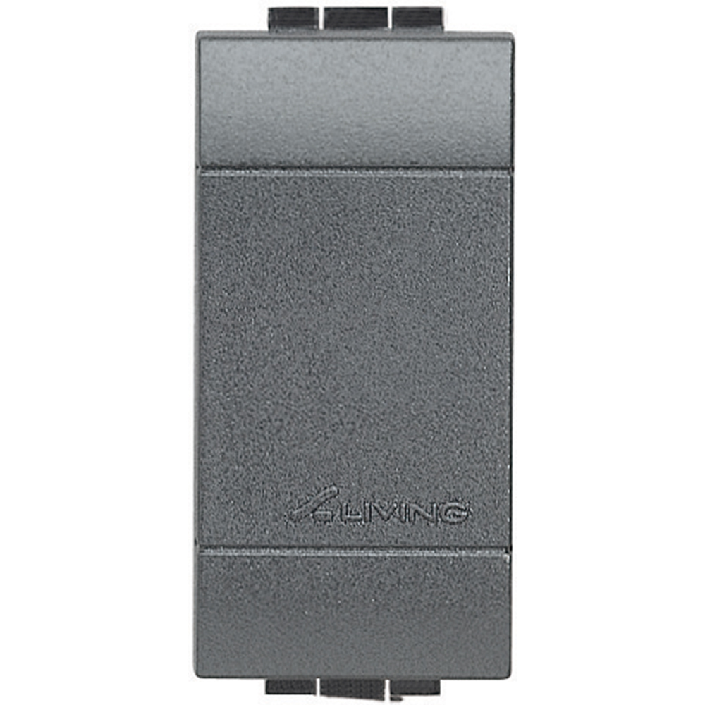 LIVING INT. TASTO FALSO POLO BT BTICINO