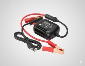 Materiale Elettrico / Pinza per Carica Batteria