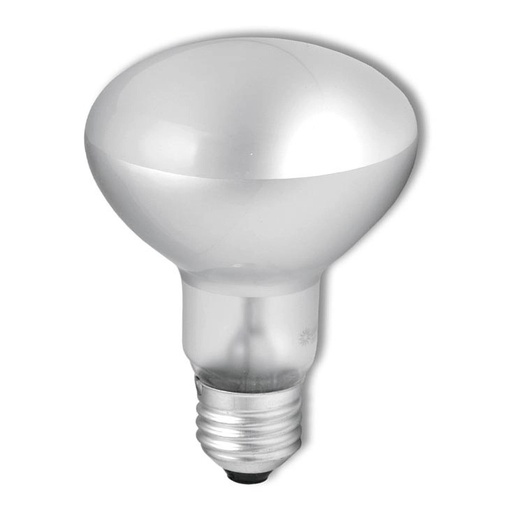 [27030046] ECO-ALOGENA R63 53W E27 LIGHTX
