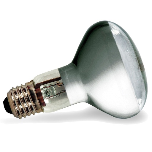 [27030047] ECO-ALOGENA R80 53W E27 LIGHTX