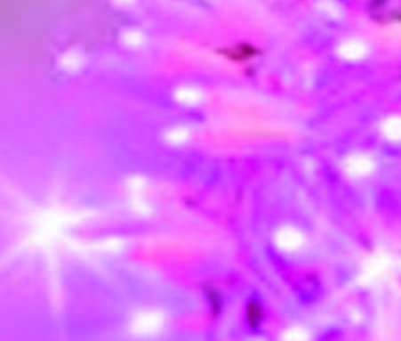 [SF5024P] SFERETTINE PASTELLO 50 L LJ