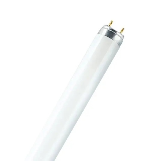 [OSRDL36830] LAMPADA DULUX L 36W/830 2G11