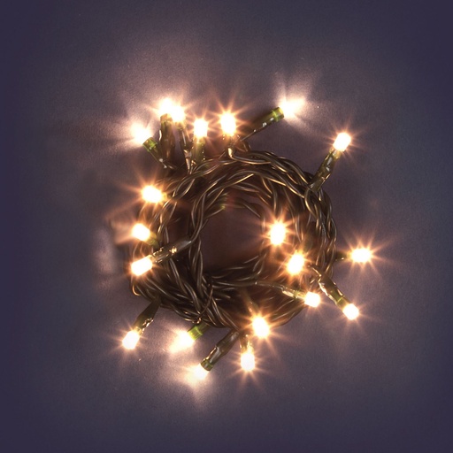 [L20313] CATENA MB 20 LED CLASSIC 5MM LUCE FISSA 230V INTERNO CAVO VERDE 1,5+2M