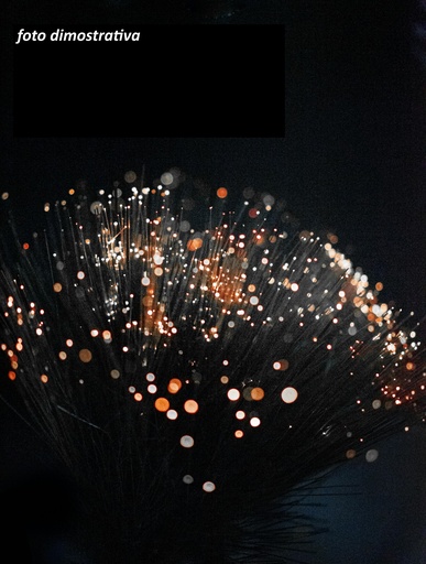 [T33023CH] CIUFFI DI LUCE A FIBRE OTTICHE   CHIARO LJ