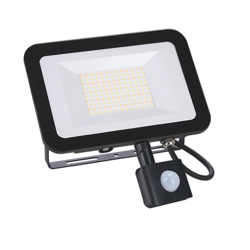 [IO630712S] PROIETTTORE FARO LED M.C. ELETTRICI CON SENSORE DI PASSAGGIO  20W MODELLO ADRIATICO POSSIBILITA' DI SELEZIONARE LA TONALITA' DI LUCE E ANTI-BLACKOUT 1800Lm IP65